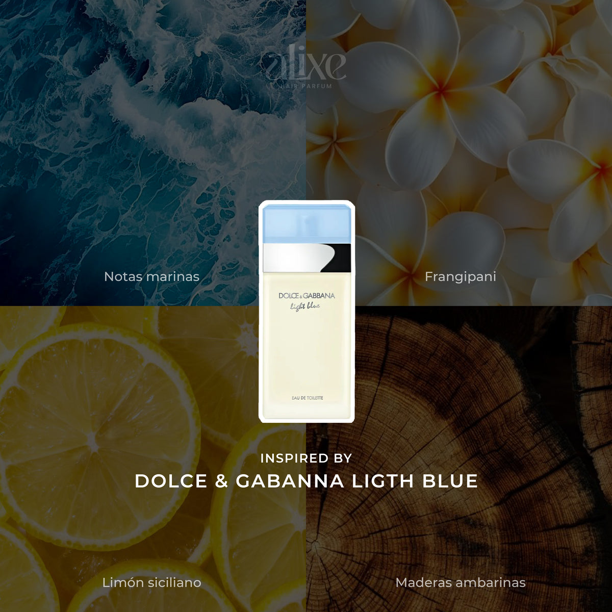 Inspirado en ligth blue dolce y gabbana